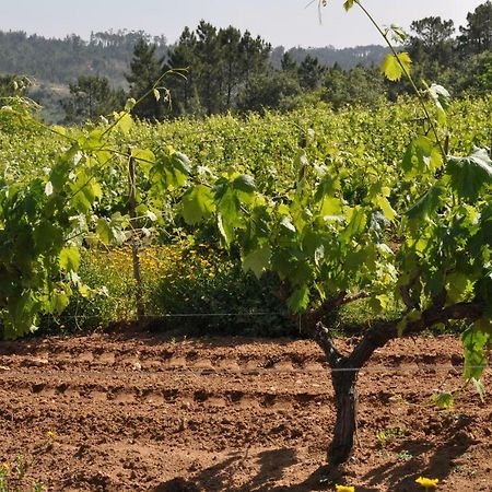 Quinta Da Serrana Ourém Kültér fotó