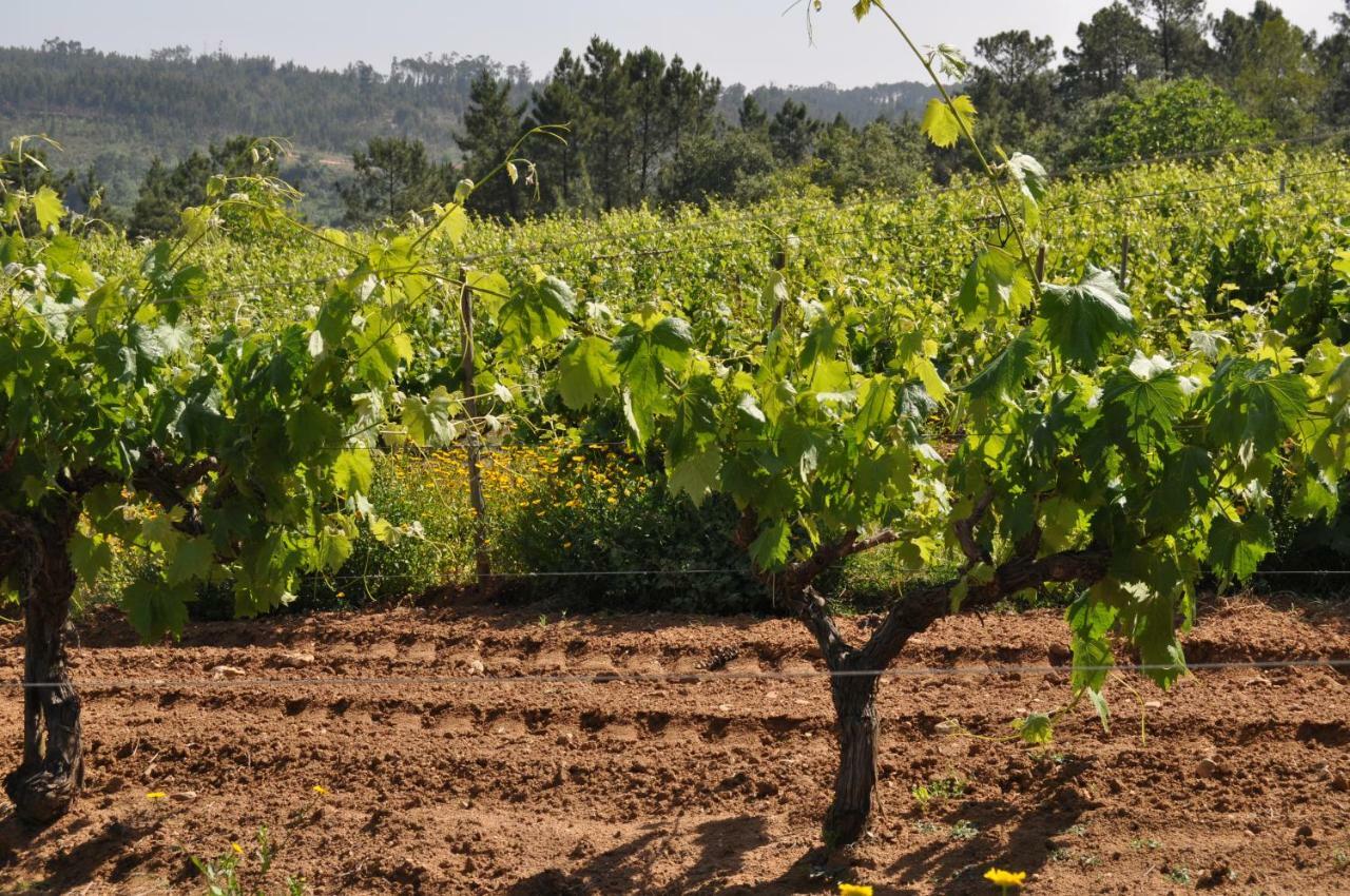 Quinta Da Serrana Ourém Kültér fotó