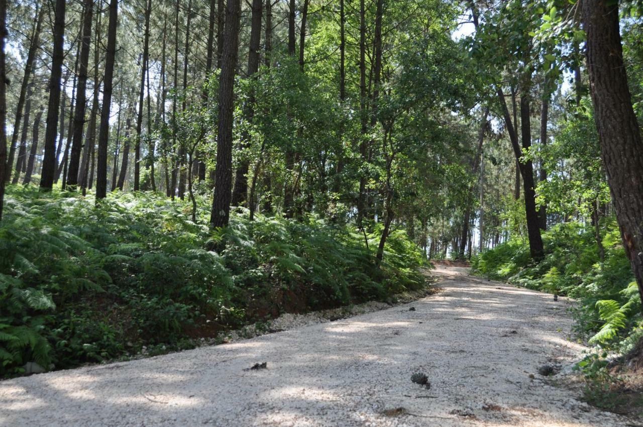 Quinta Da Serrana Ourém Kültér fotó