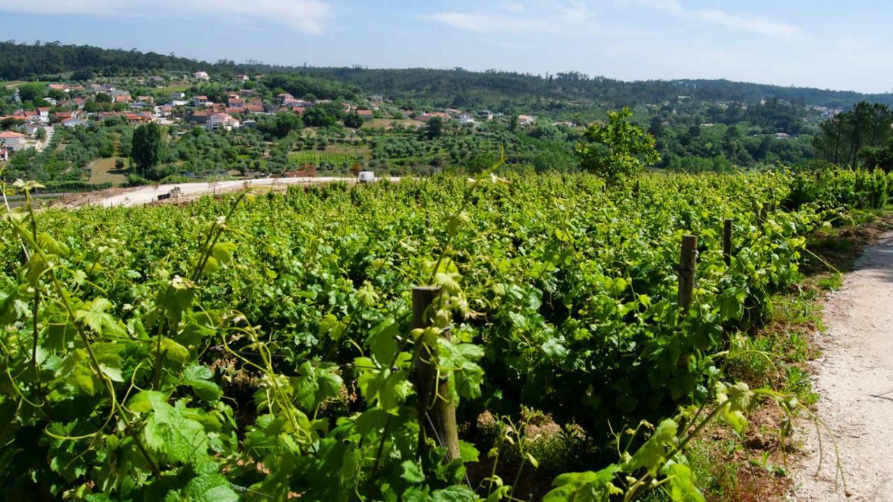 Quinta Da Serrana Ourém Kültér fotó